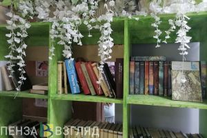 В списке для внеклассного чтения пензенских школьников появятся книги об СВО