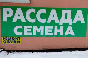 Штрафы до 50 тысяч рублей: дачникам стоит опасаться за свои сбережения