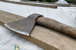 В Пензенском районе мужчина хотел зарубить гостя топором