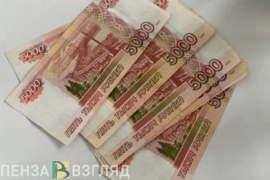 В Пензе женщина получила на несуществующего ребенка более 1 млн рублей