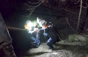 В Пензе мужчина упал с крутого берега и не смог выбраться самостоятельно