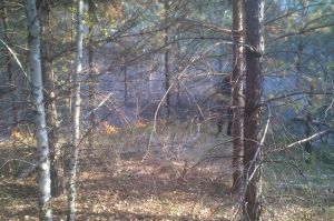 В Бессоновском районе случилось еще два лесных пожара