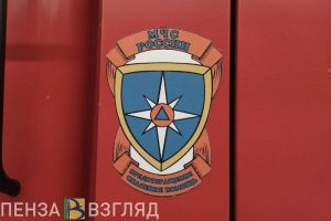 Из-за детской шалости в Кузнецком районе сгорел дом и надворные постройки