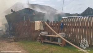 В Вадинском районе при пожаре погибли два человека