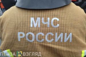 В Пензенской области растет число возгораний сухой травы и мусора