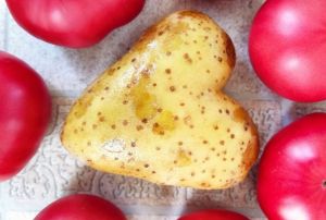 Всего один глазок и мощный урожай картофеля: хватит до зимы