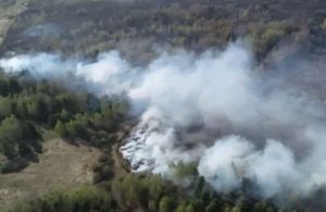 Появились кадры масштабного пожара в Бессоновском районе с высоты