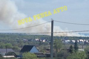 Тушат 46 пожарных: в Бессоновском районе горит трава на большой площади