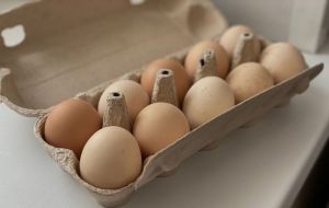 Врач Макиша советует добавить в меню яйца, авокадо и еще два продукта, которые подавят чувство голода: результат удивит