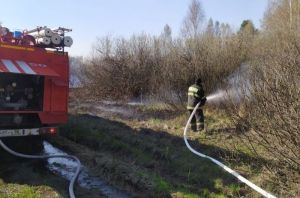 Подростки в Бессоновском районе спасали дома от огня до приезда пожарных