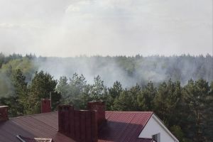 Сотрудники МЧС рассказали о подробностях пожара в районе Ласточкиных гор в Пензе