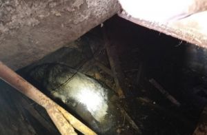 В Пензе спасли собаку из погреба с водой