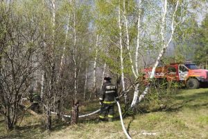 Площадь пожара в Бессоновском районе составила 15 гектаров