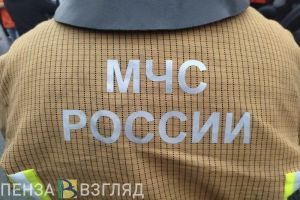 30 пожаров потушили в Пензенской области за сутки