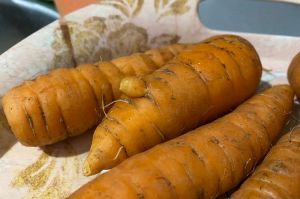 Самую вкусную и сочную морковь выбираю только так: лайфхак от бабушки на все времена