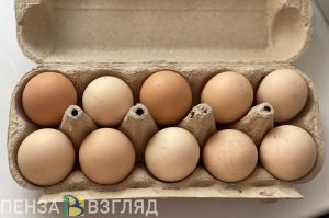 В Пензенской области производство яиц выросло на 30%