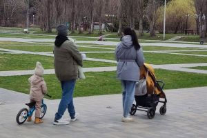 Главный налог для миллионов россиян снизят в два раза
