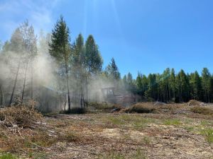 В Пензенской области в оборот введут 7,5 тыс. га неиспользуемой пашни