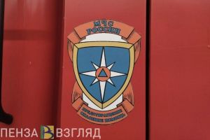 За неделю в Пензенской области произошло 133 пожара