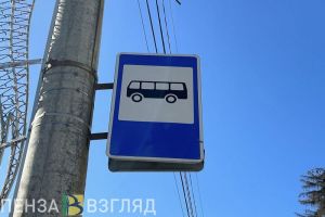 Транспорт на Радоницу, карантин по бешенству и встреча Мельниченко с президентом Узбекистана — новости Пензы и области за 28 апреля