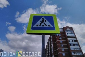 Водителю из Сердобского района вынесли приговор за сбитого ребенка