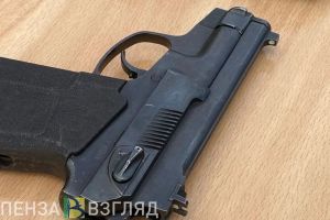 Пьяный кузнечанин хотел застрелить падчерицу