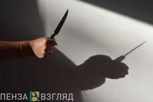В Пензенской области женщина пырнула пристававшего сожителя ножом