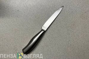 Житель Пензенского района угрожал пасынку, что убьет его ножом