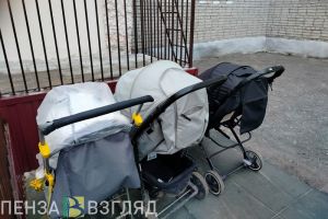 В Пензенской области могут появиться «социальные няни»