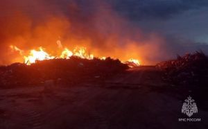 В Пензенской области загорелась свалка на площади 1000 квадратных метров