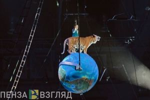 Пензенцы узнали об идее Путина добавить цирки в программу «Пушкинская карта»