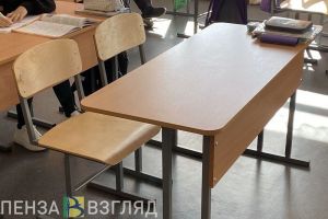 В пензенском Министерстве образования объяснили, как обойтись без репетиторов