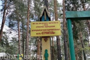 Летом на территории Пензенской области будут работать 358 детских лагерей