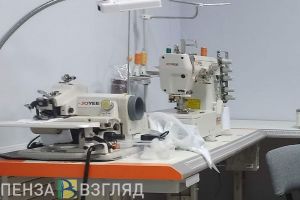 Пензенских самозанятых по просьбе президента не будут загонять в «серую зону»