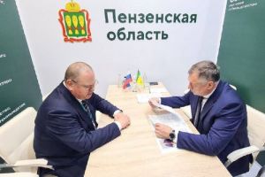 Мельниченко доложил Хуснуллину о развитии экономики Пензенской области