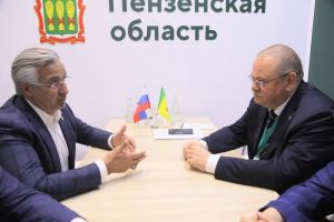В Пензенской области планируют провести всероссийский сельский Сабантуй — 2026