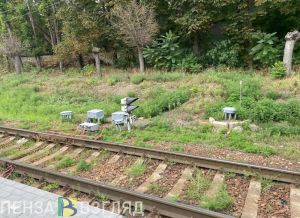 Возле Пензы-3 заметили подростка, забирающегося на вагон движущегося поезда