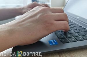 В Пензенской области киберпреступления составляют 43% от всех преступлений