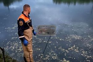 На Суре в Пензе найден труп мужчины