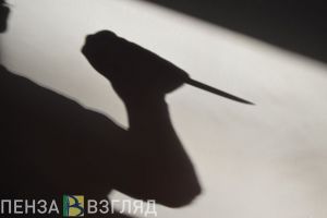 Спор об алиментах привел к ножевому ранению в Пензенской области
