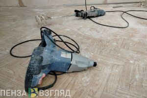 Проверка перепланировок, 700 тысяч за борщевик, пензенский колледж в топ-50 — главные новости Пензы и области за 7 июня