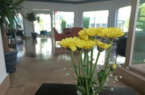 Как вернуть деньги за тур: россиянам назвали номер телефона