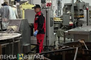 На заводе в Никольском районе задержали 14 млн рублей зарплаты