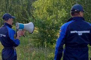В Пензенской области спасли потерявшихся грибников