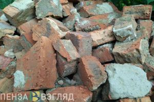 Жительница Вадинского района проучила брата кирпичом