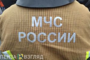 За неделю при пожарах в Пензенской области погибли 3 человека