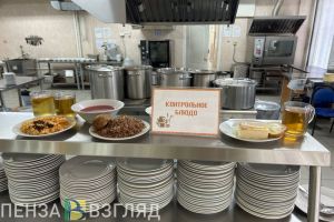 Пензенцам рассказали о льготах на школьное питание