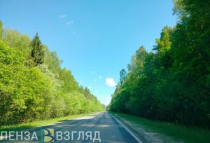 Внимание, водители: в июле в Пензе возрастает риск ДТП с тяжкими последствиями