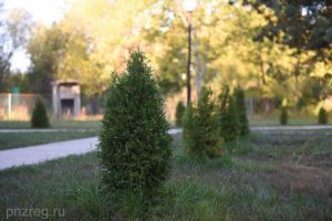 Региональные курорты, отключение воды и ярмарка трудоустройства: новости Пензы и области за 27 июня