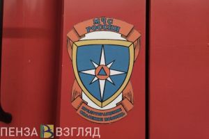 В Бессоновке 26-летний мужчина погиб при пожаре
